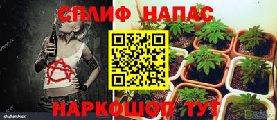 a pvp Лесосибирск
